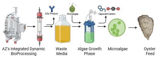 Biowaste Reprocessing of Cell Culture Medium project image