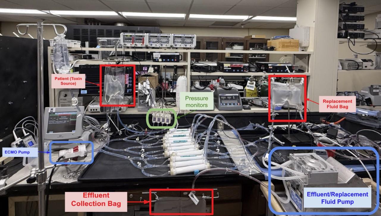 BIOE Team 4 project image