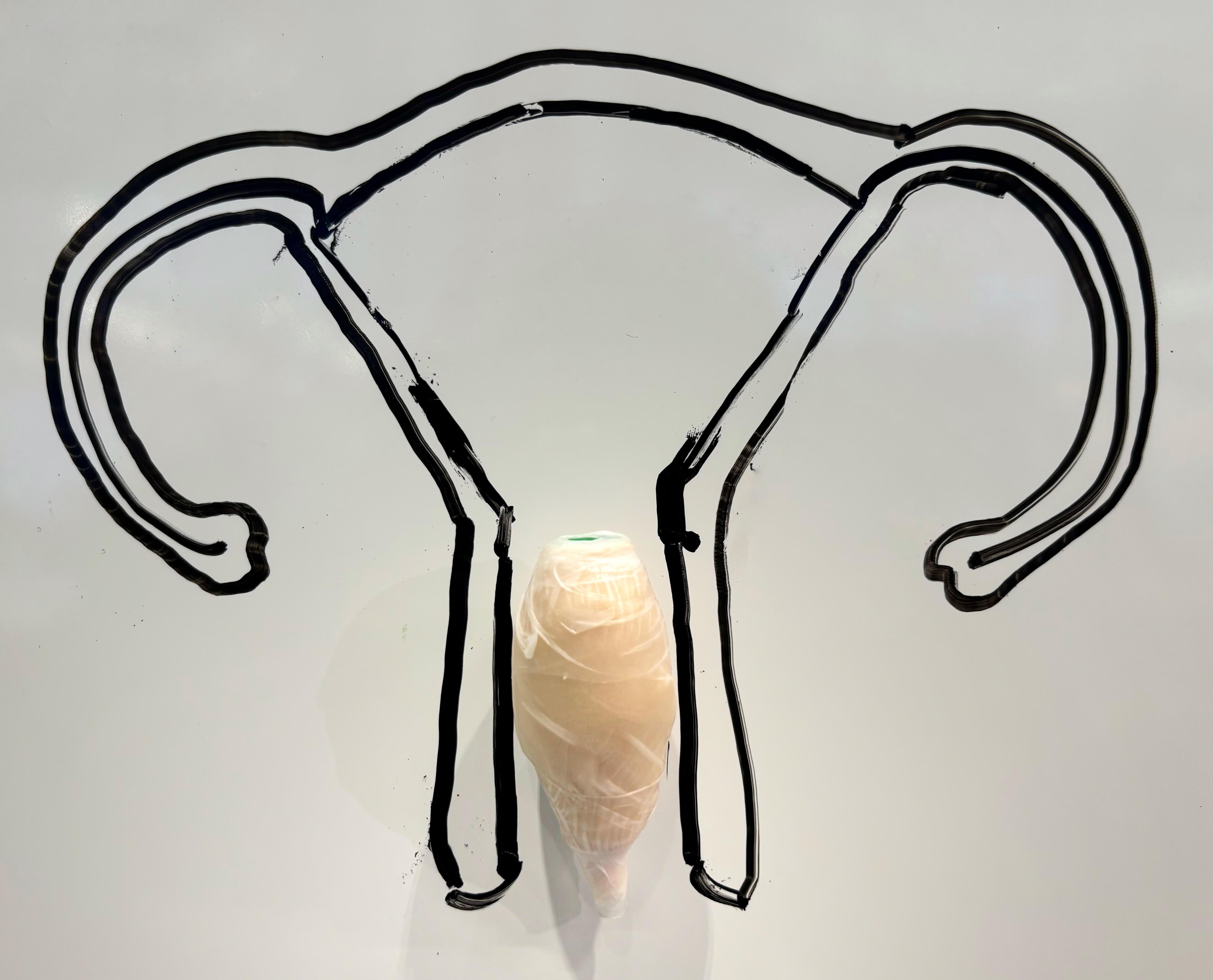 Team15 project image