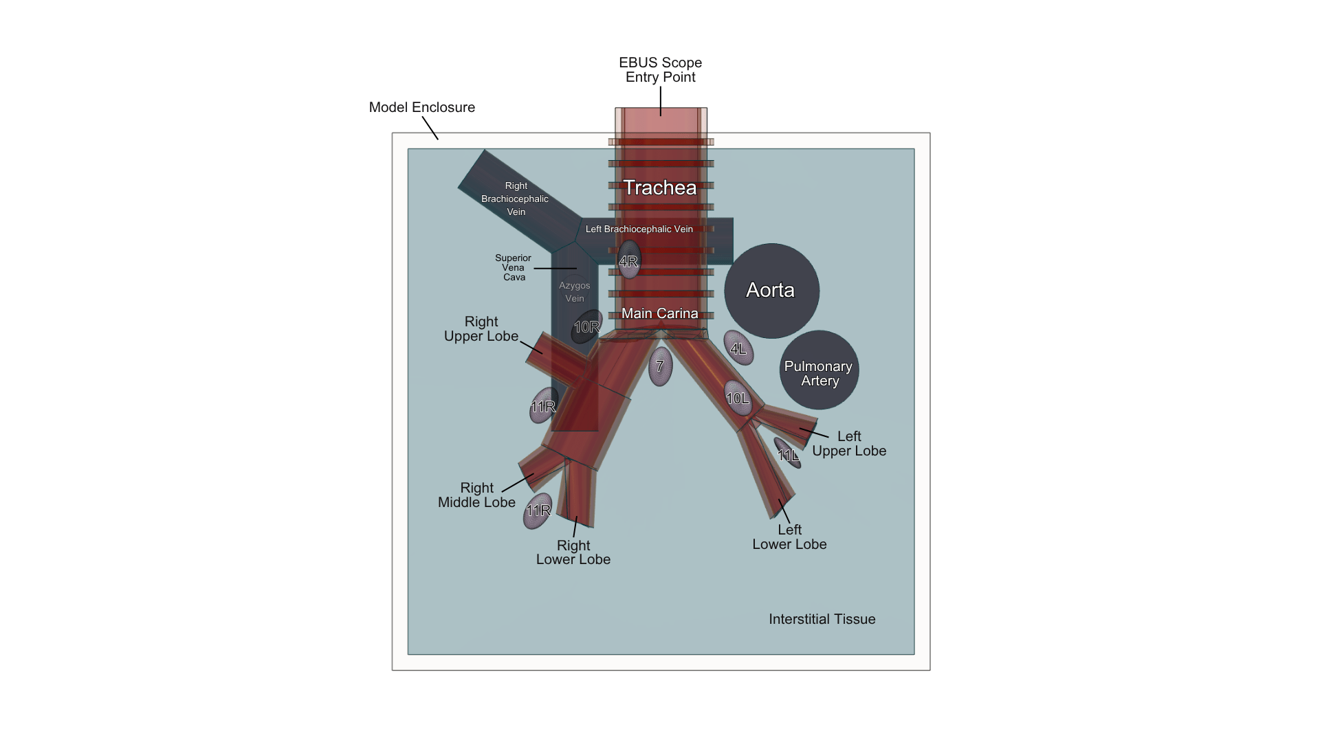 BIOE Team 6 project image