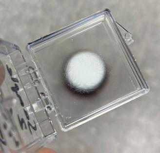 Chitosan Photoresist project image