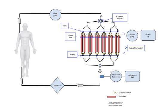 BIOE Team 18 project image