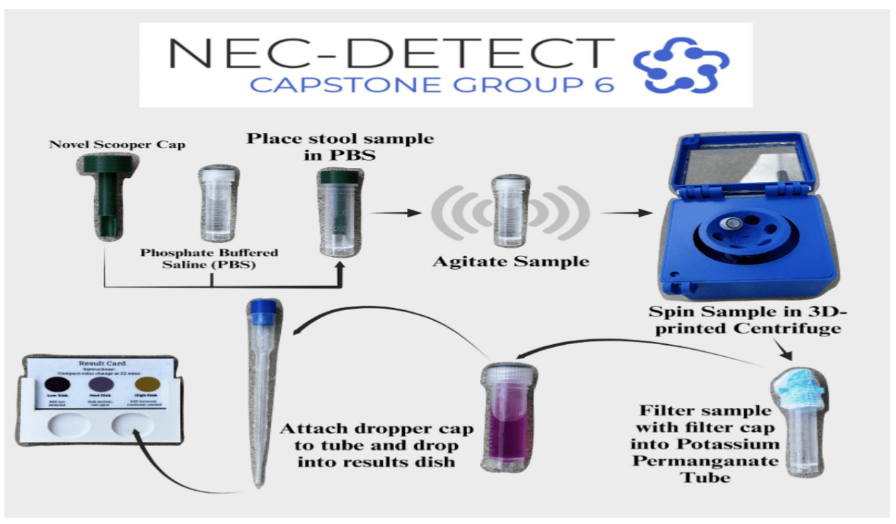 BIOE Team 6 project image