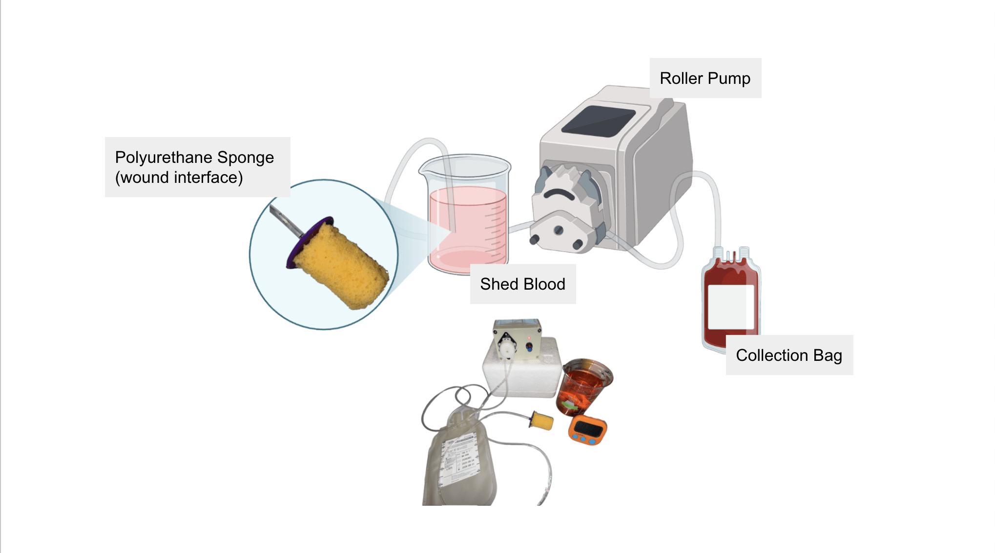 Blood Recollection from Traumatic Injury project image