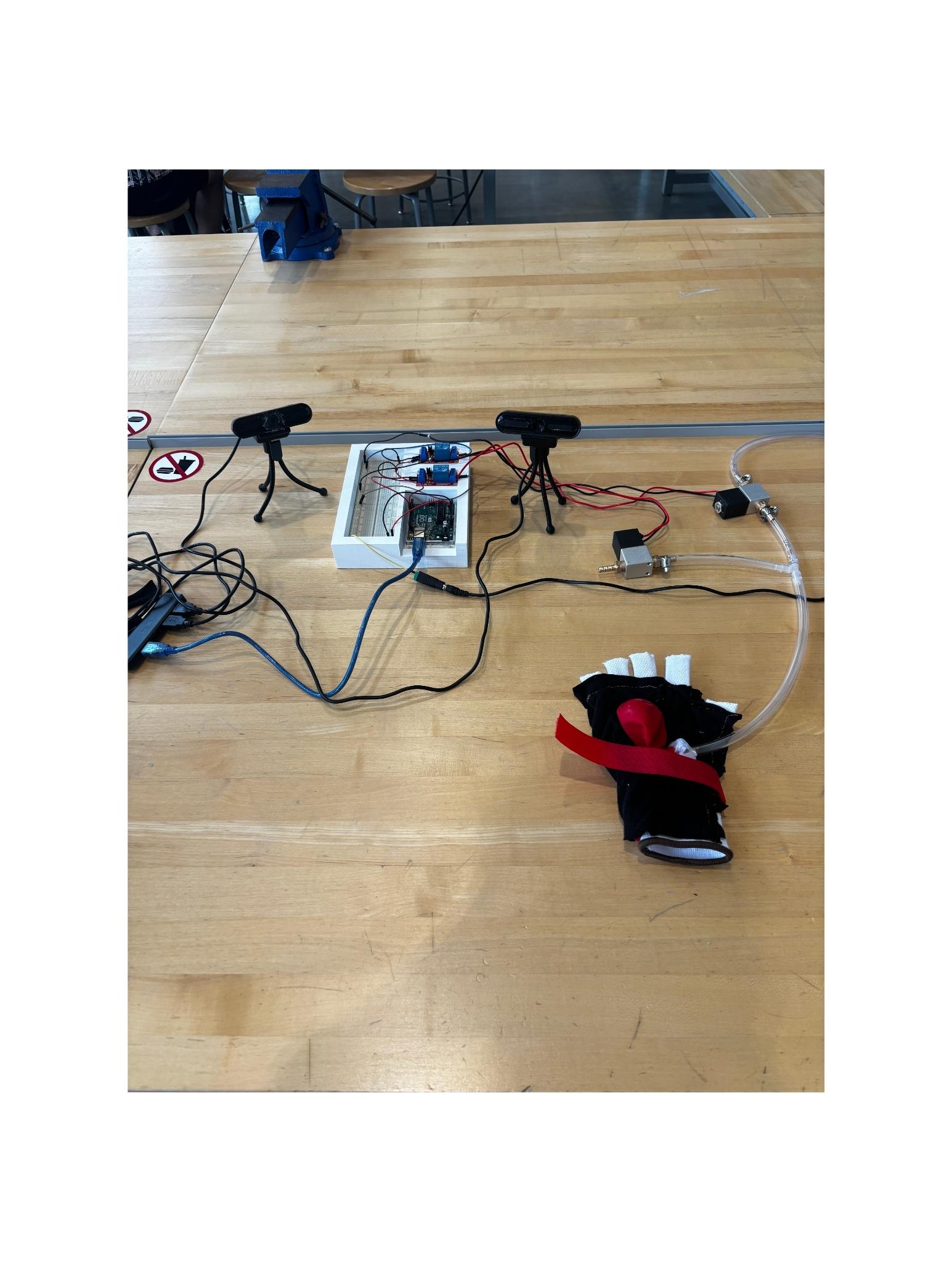 BIOE Team 17 project image