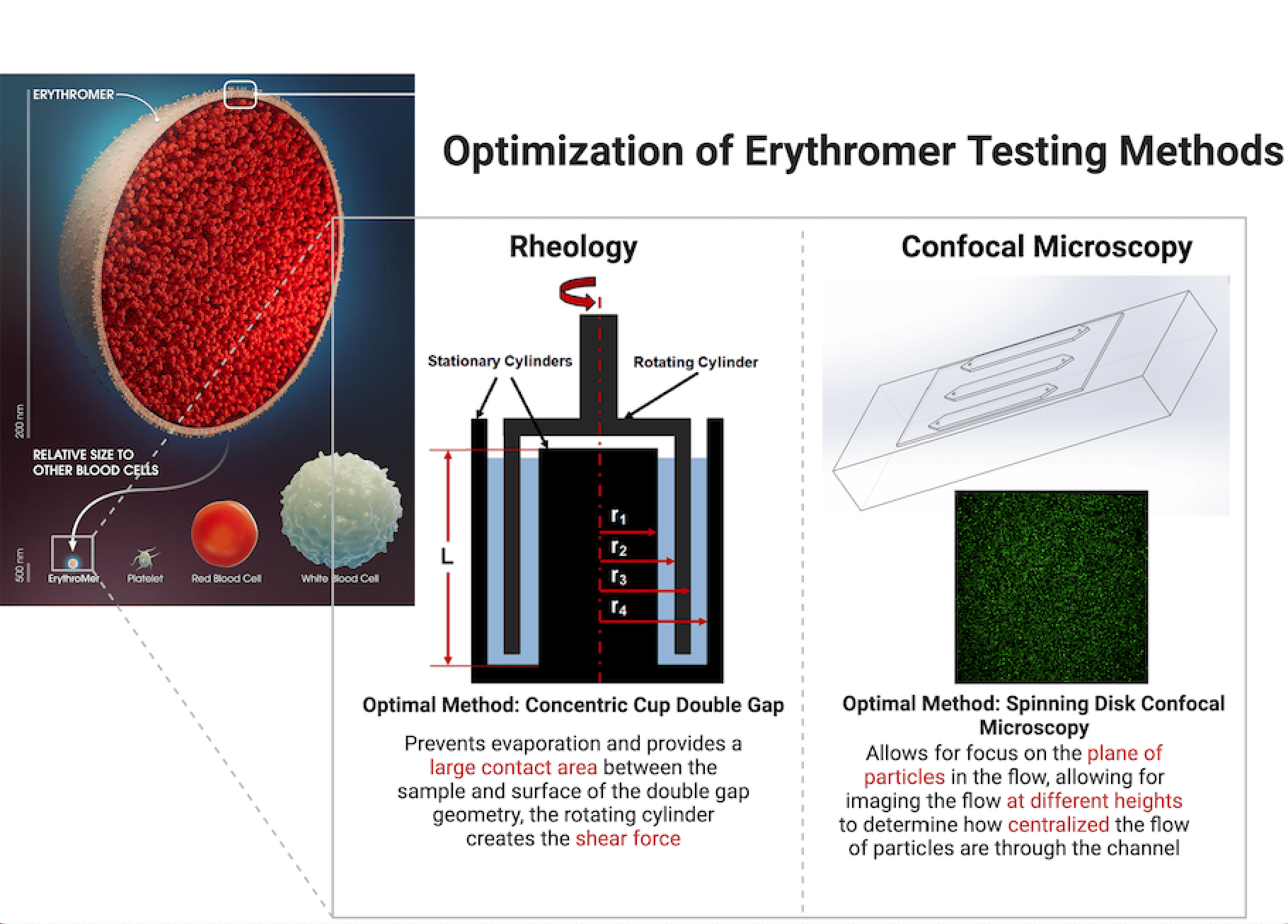 EMazing Particles - BE Team 5  project image