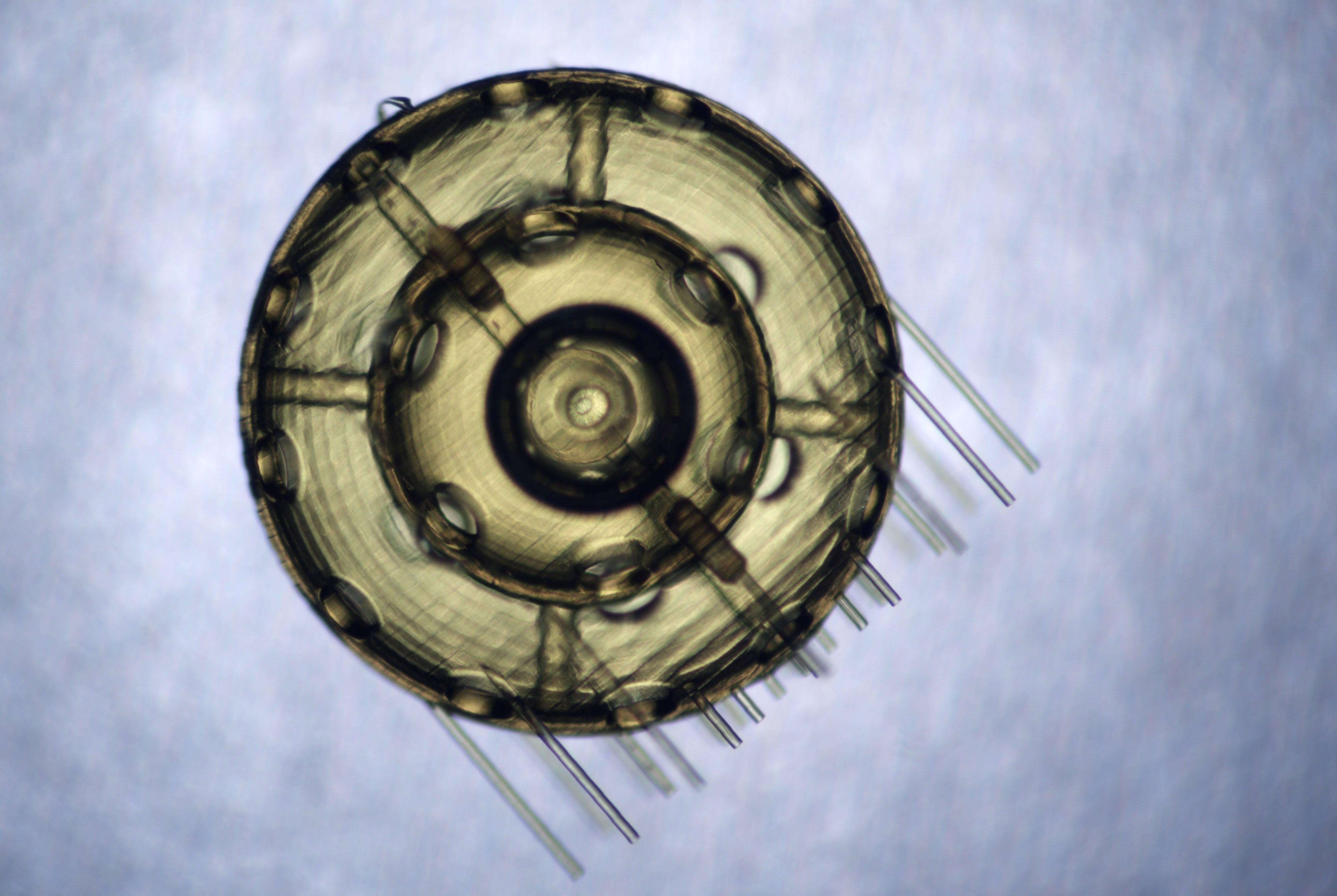 BIOE Team 18 project image