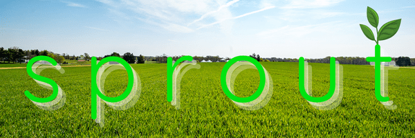Project PESTICIDES: Data project image