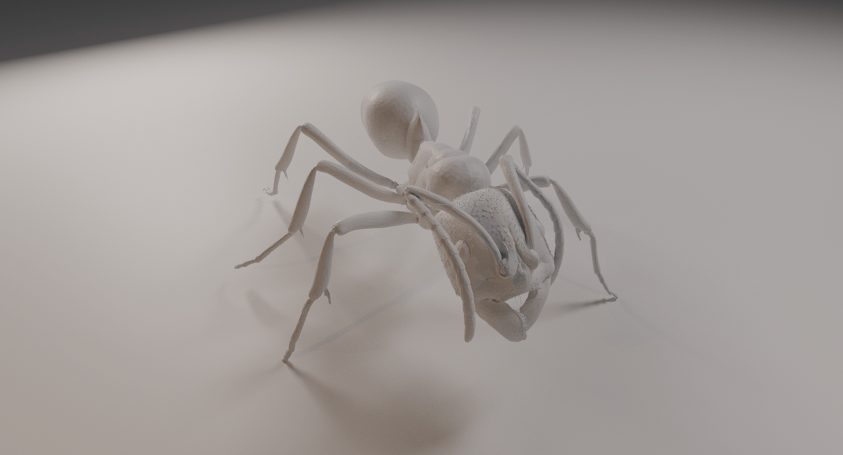 Team ANTS project image